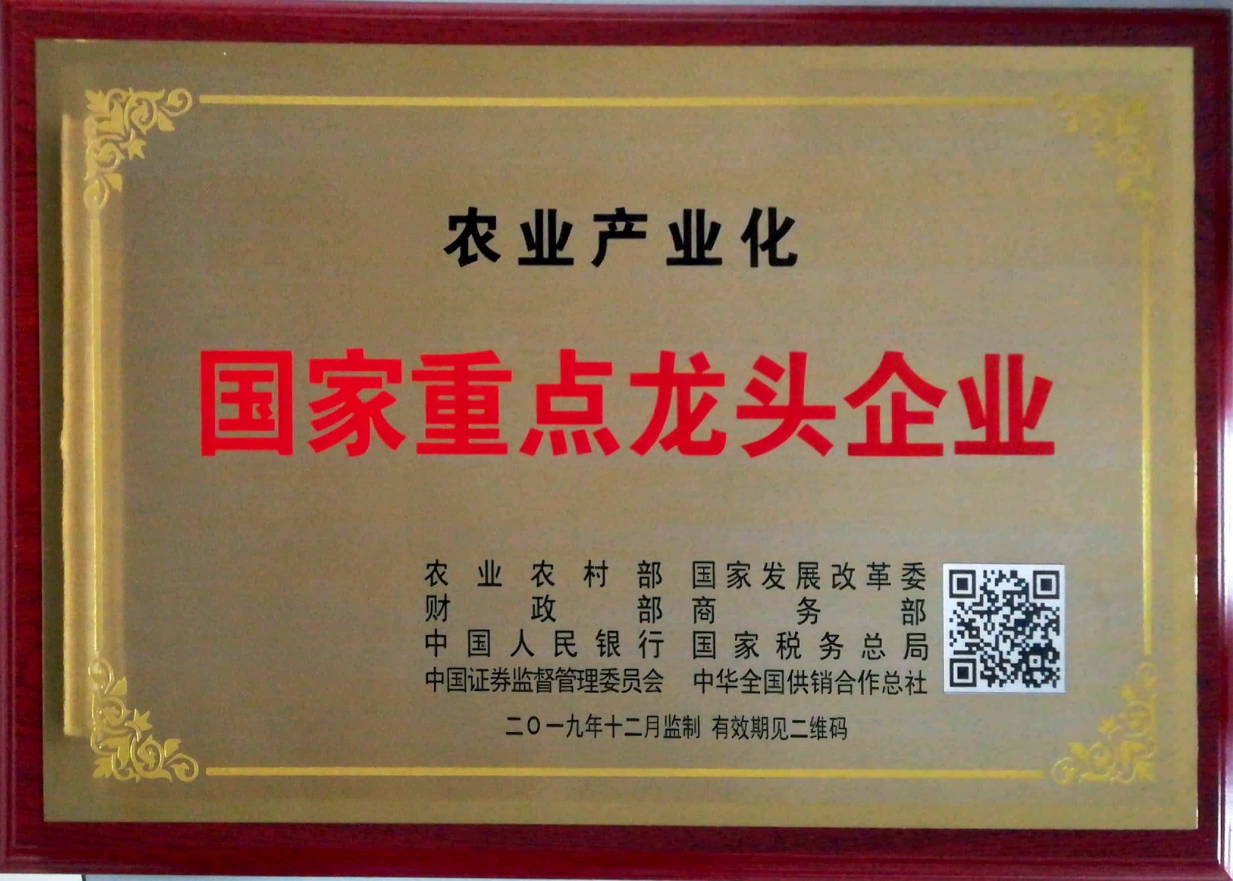 新國(guó)家龍頭企業(yè)